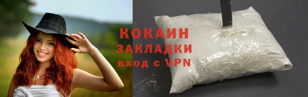 дживик Касимов