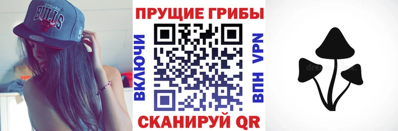 Купить  Котельники  Псилоцибиновые грибы мухоморы 